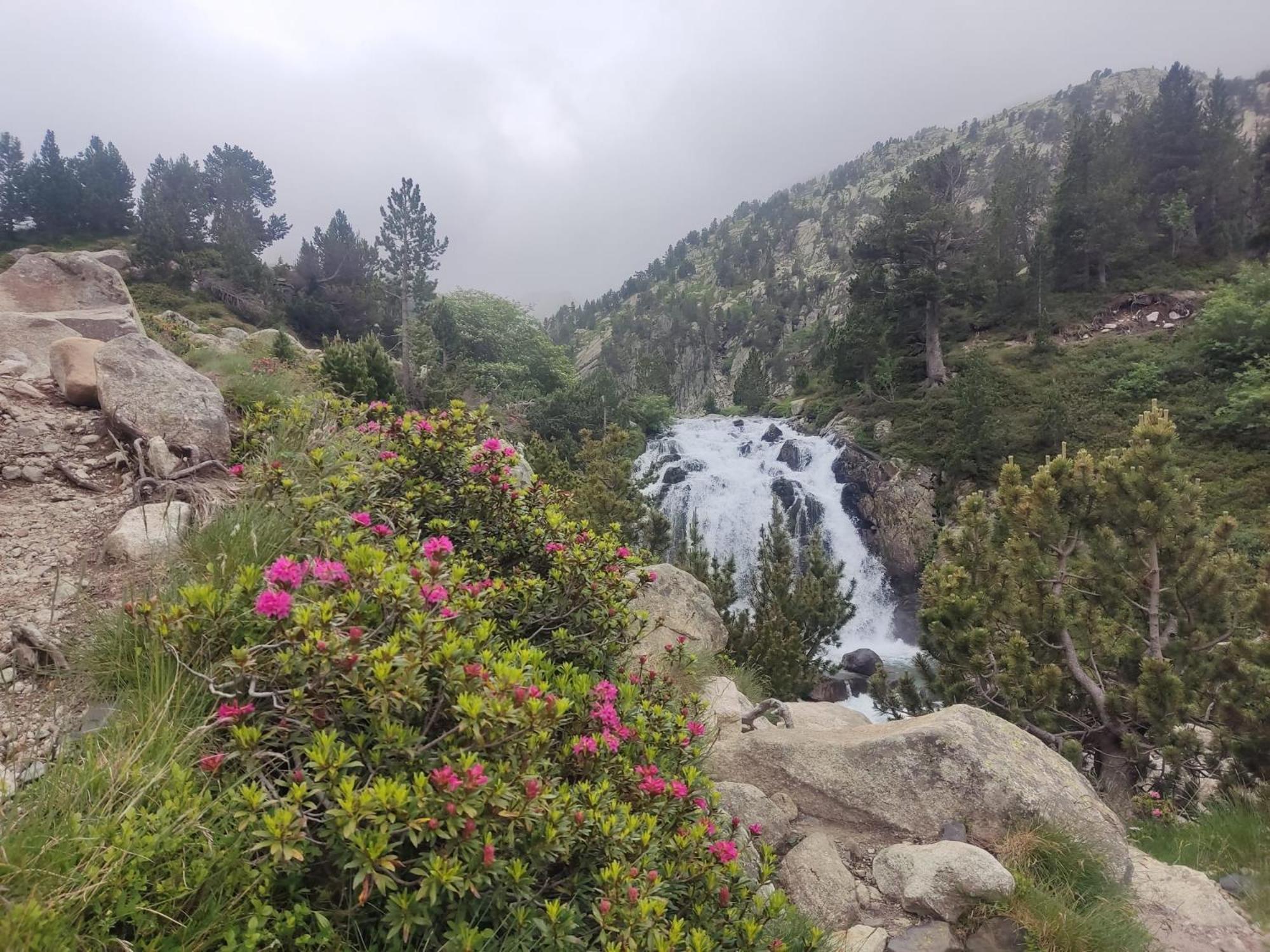Apartamento El Refugio De Sara Benasque Buitenkant foto