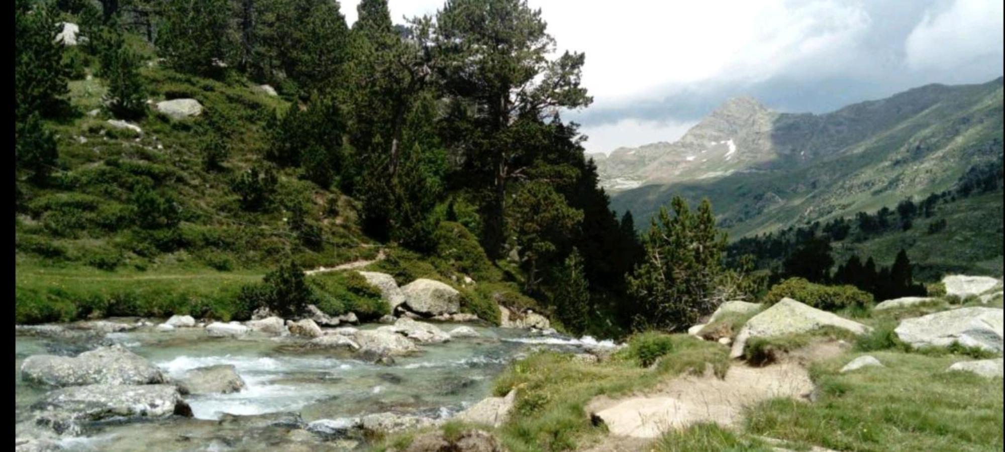 Apartamento El Refugio De Sara Benasque Buitenkant foto